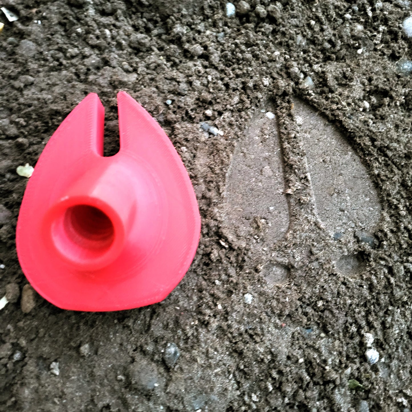 Reindeer Hoof, Reindeer Footprints, Christmas